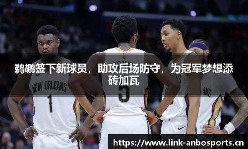 鹈鹕签下新球员，助攻后场防守，为冠军梦想添砖加瓦