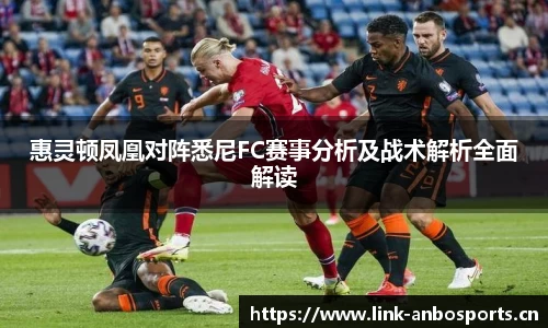 惠灵顿凤凰对阵悉尼FC赛事分析及战术解析全面解读